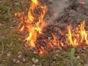 «Կ. Դեմիրճյանի անվան մարզահամերգային համալիր»-ի մոտ այրվել է 500 քմ խոտածած տարածք